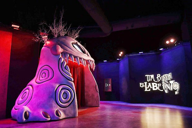 Tim Burton. El laberinto..jpg