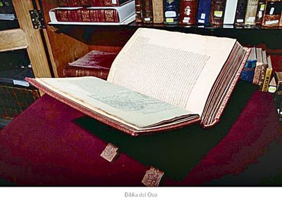 biblio del osos.jpg
