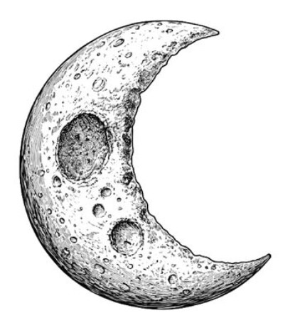 luna.jpg