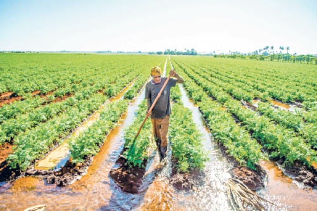 CRISIS CUBA FEBRERO 2026_JAIR CABRERA TORRES26.jpg