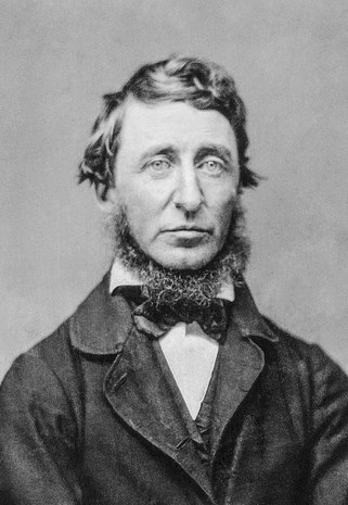 Benjamin_D._Maxham_-_Henry_David_Thoreau_-_Restored_-_greyscale_-_straightened.jpg