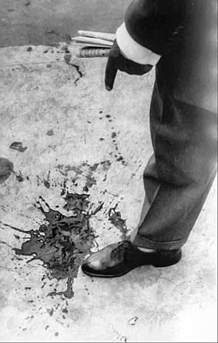 1623 Héctor García y Vicente  IMAGEN 1 Captura de pantalla 2026-02-12 a la(s) 10.11.15 a.m..jpg